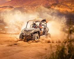 Buggy