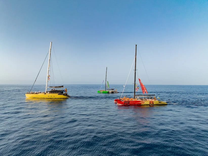 Catamarano